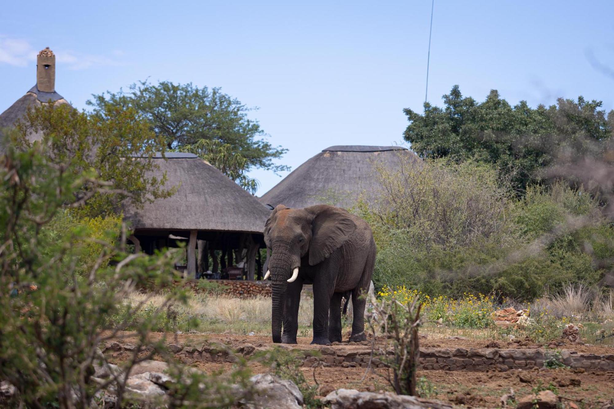 Rhulani Safari Lodge Madikwe Game Reserve Exterior foto