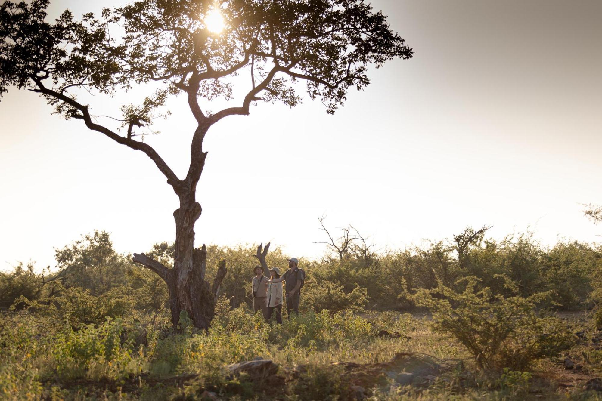 Rhulani Safari Lodge Madikwe Game Reserve Exterior foto
