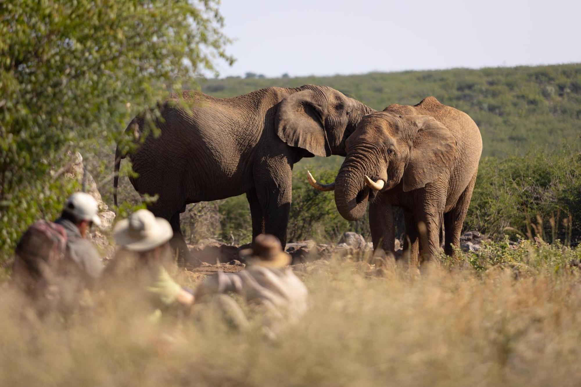 Rhulani Safari Lodge Madikwe Game Reserve Exterior foto