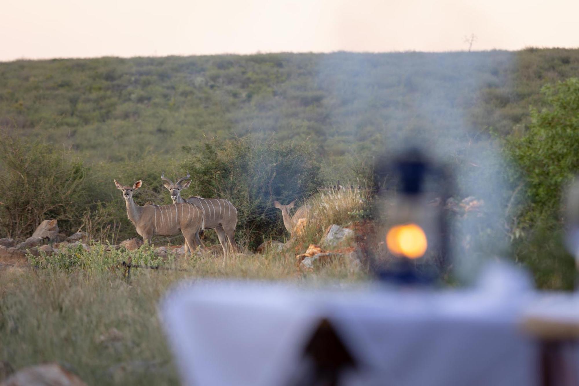Rhulani Safari Lodge Madikwe Game Reserve Exterior foto