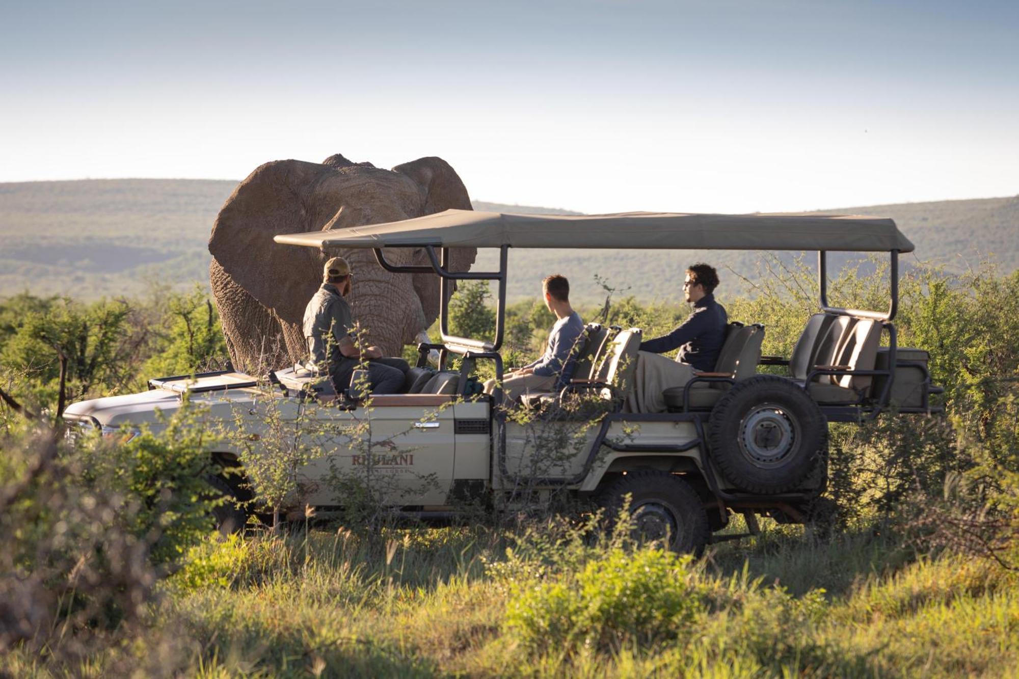 Rhulani Safari Lodge Madikwe Game Reserve Exterior foto