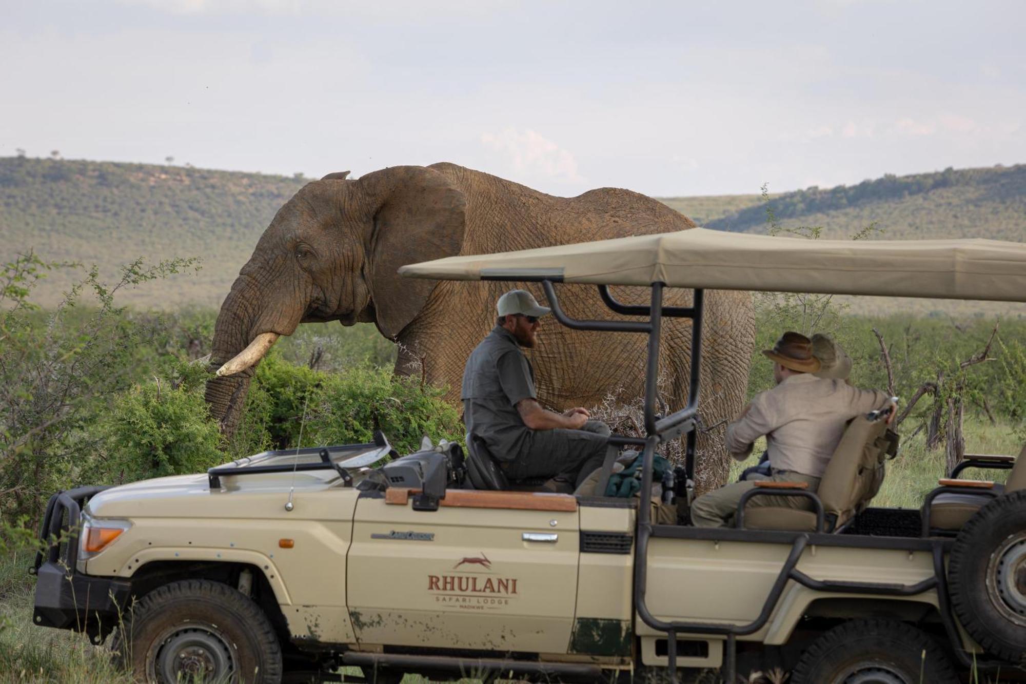 Rhulani Safari Lodge Madikwe Game Reserve Exterior foto